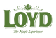 Loyds Tea