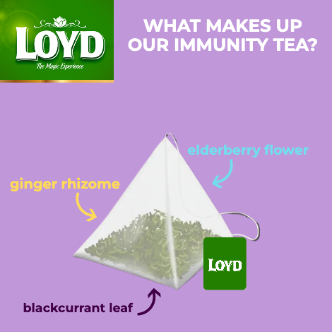 LOYD Pyramid Mint Tea (40 g) Delivery or Pickup Near Me LOYD Pyramid Mint Tea (40 g) Delivery or Pickup Near Me