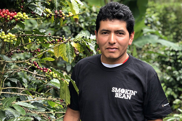 Smokin' Bean Organic Fairtrade Coffee Beans (1kg) - Discount Coffee